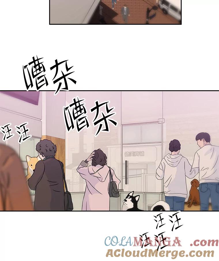 《彩虹桥守望者》84.责任感 第10页