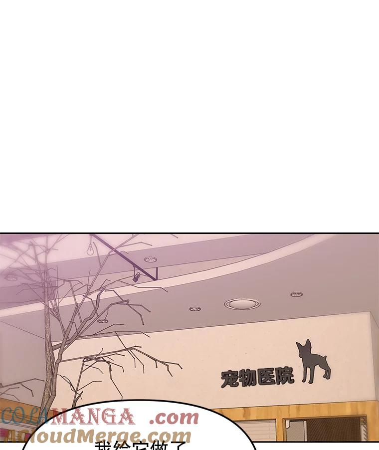 《彩虹桥守望者》84.责任感 第67页