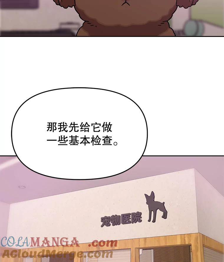 《彩虹桥守望者》84.责任感 第40页