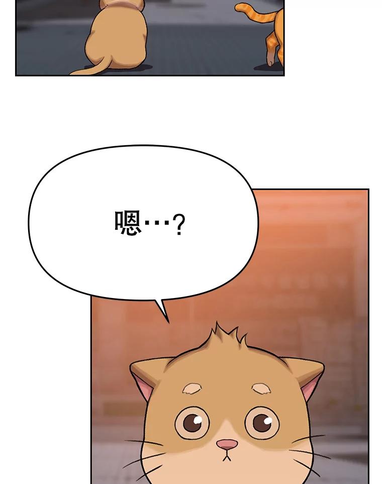 《彩虹桥守望者》86.一部分人的谬论 第51页