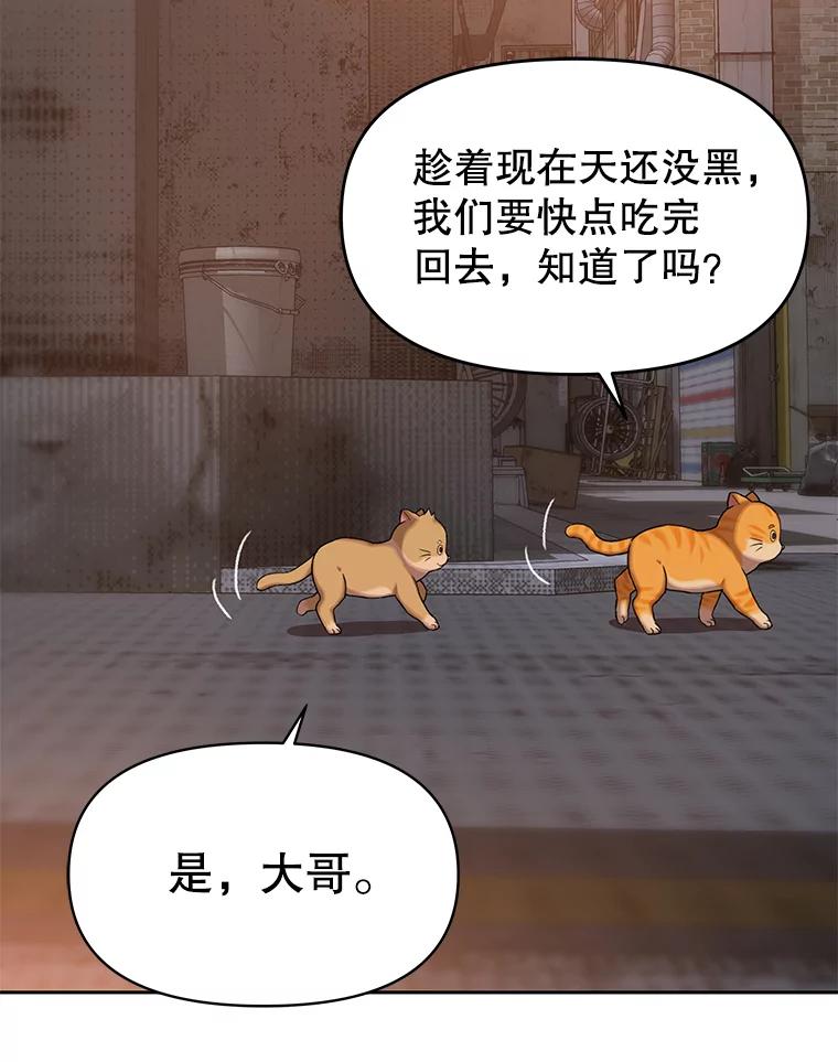 《彩虹桥守望者》86.一部分人的谬论 第48页
