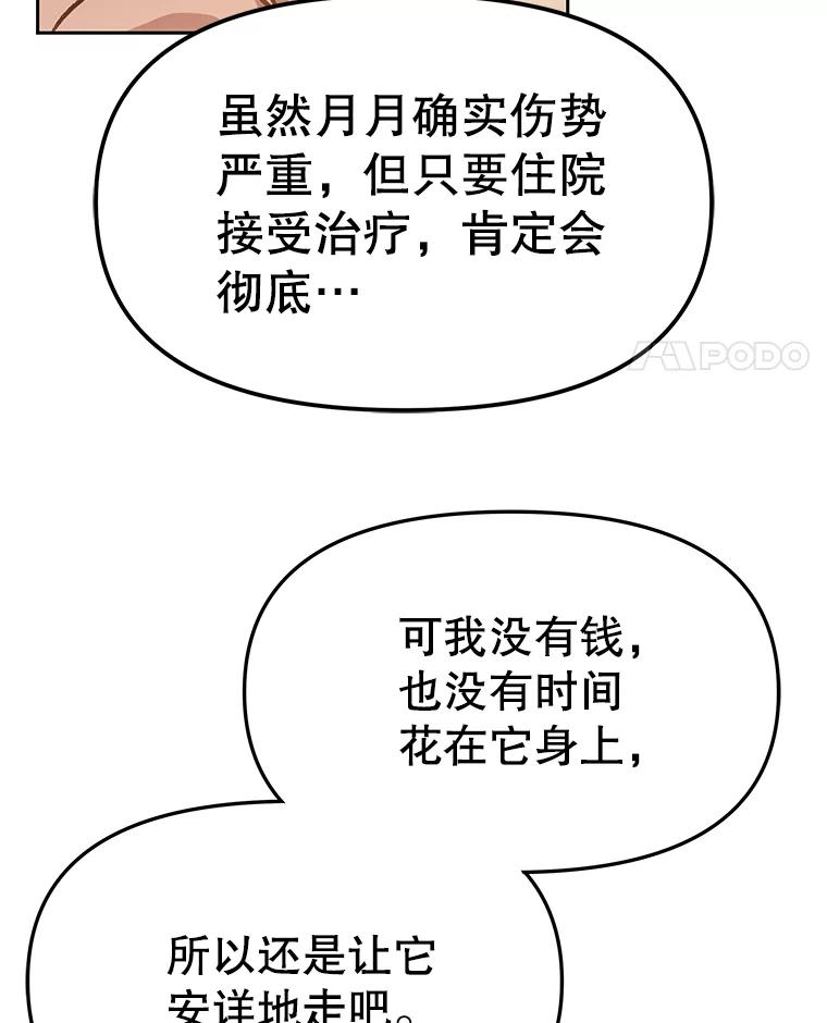 《彩虹桥守望者》87.同情疲劳 第27页