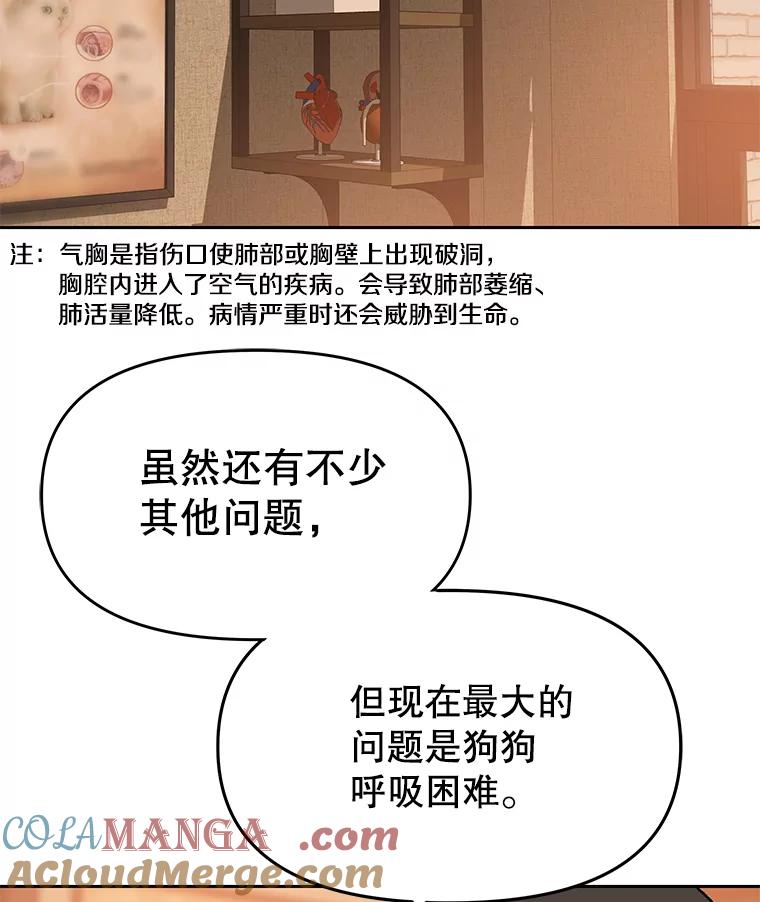 《彩虹桥守望者》87.同情疲劳 第19页