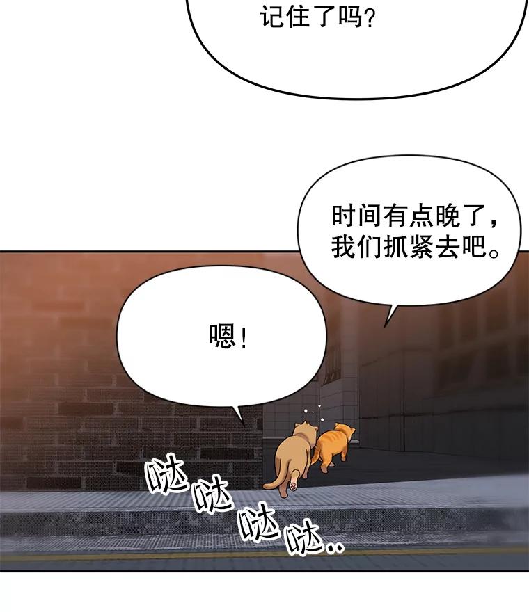 《彩虹桥守望者》87.同情疲劳 第3页