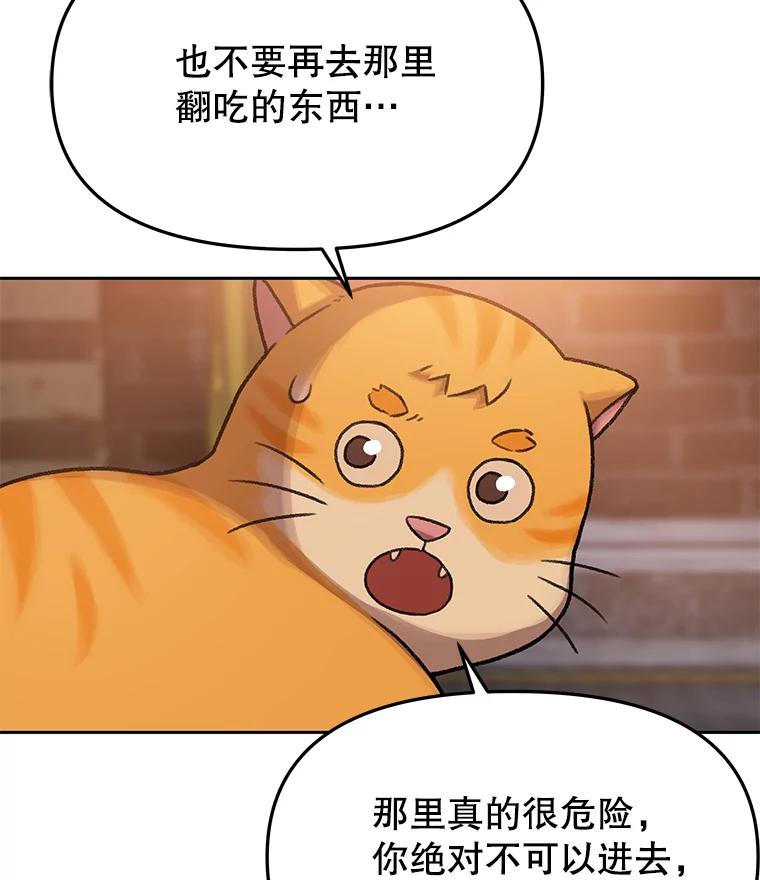 《彩虹桥守望者》87.同情疲劳 第2页
