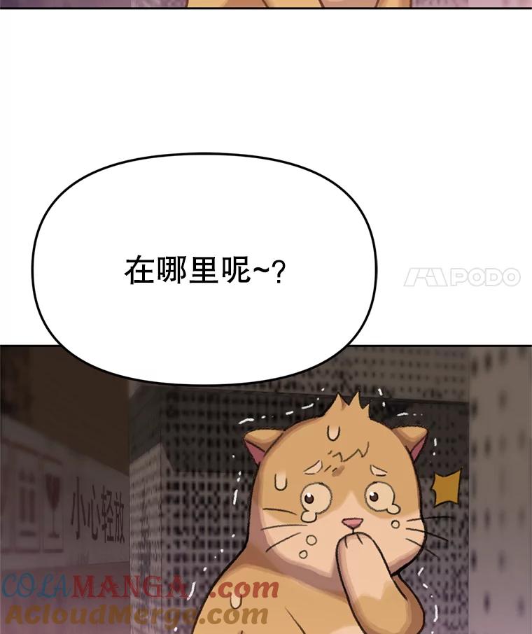 《彩虹桥守望者》89.弟弟不见了 第64页