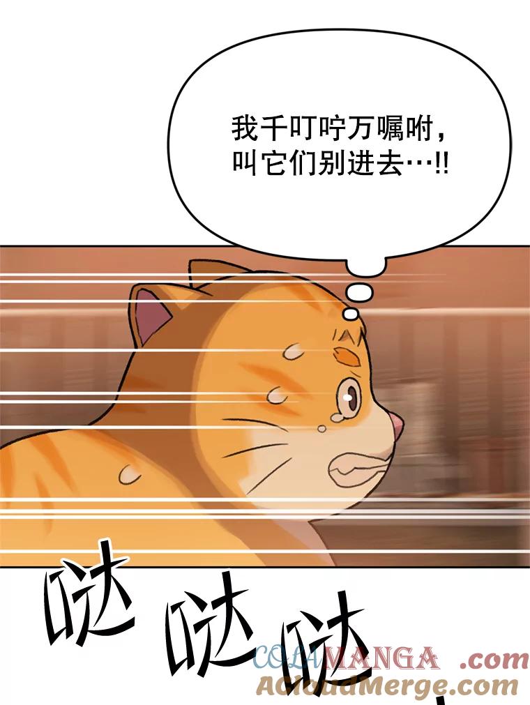 《彩虹桥守望者》89.弟弟不见了 第73页