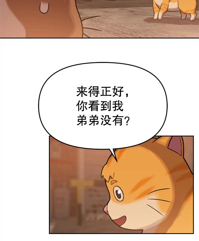 《彩虹桥守望者》89.弟弟不见了 第56页