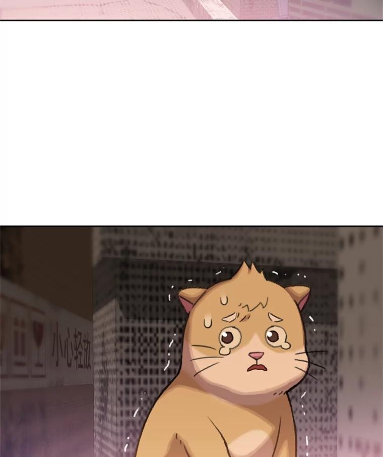 《彩虹桥守望者》89.弟弟不见了 第63页