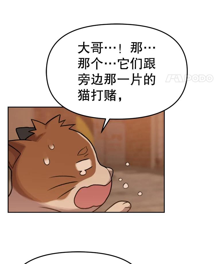 《彩虹桥守望者》89.弟弟不见了 第57页