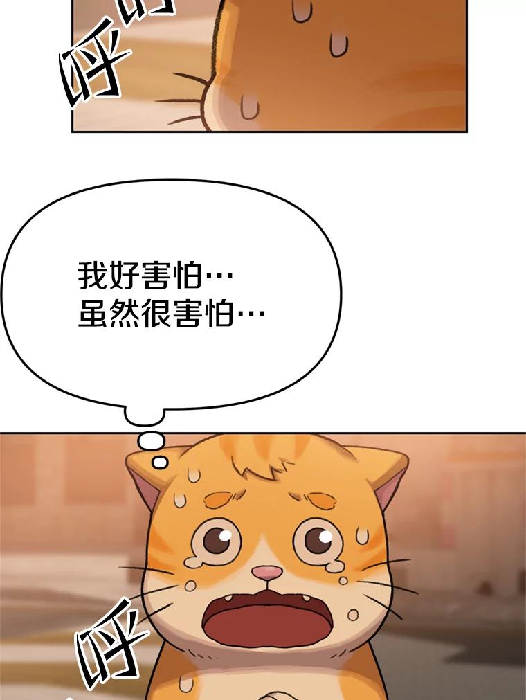 《彩虹桥守望者》89.弟弟不见了 第77页