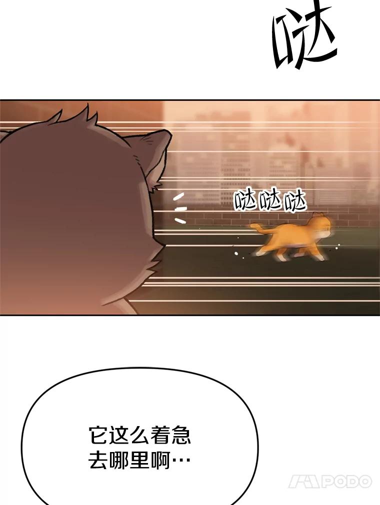 《彩虹桥守望者》89.弟弟不见了 第74页