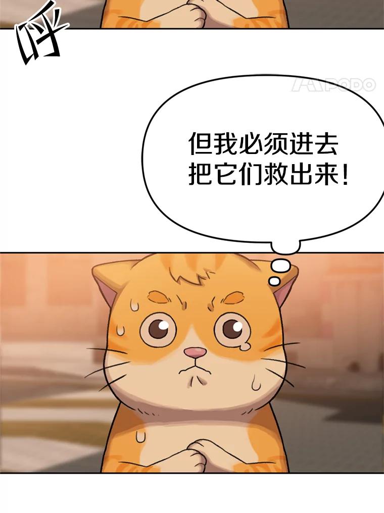 《彩虹桥守望者》89.弟弟不见了 第78页