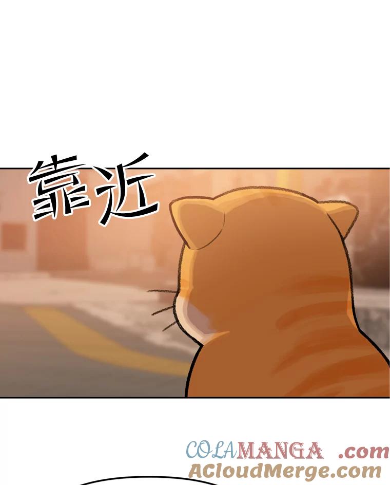 《彩虹桥守望者》89.弟弟不见了 第79页