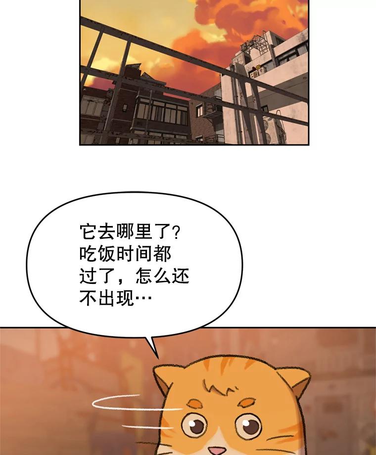 《彩虹桥守望者》89.弟弟不见了 第54页