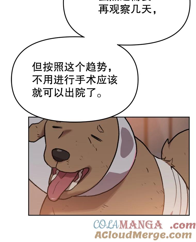 《彩虹桥守望者》89.弟弟不见了 第31页