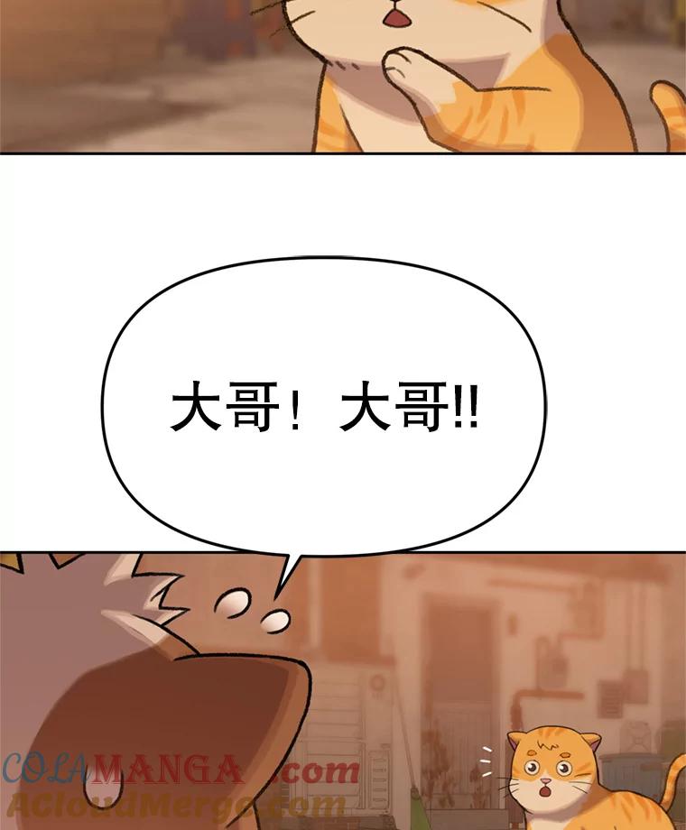 《彩虹桥守望者》89.弟弟不见了 第55页