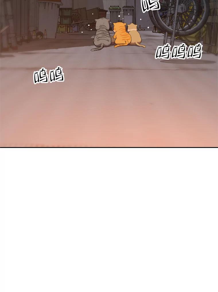 《彩虹桥守望者》90.老大的牺牲 第83页