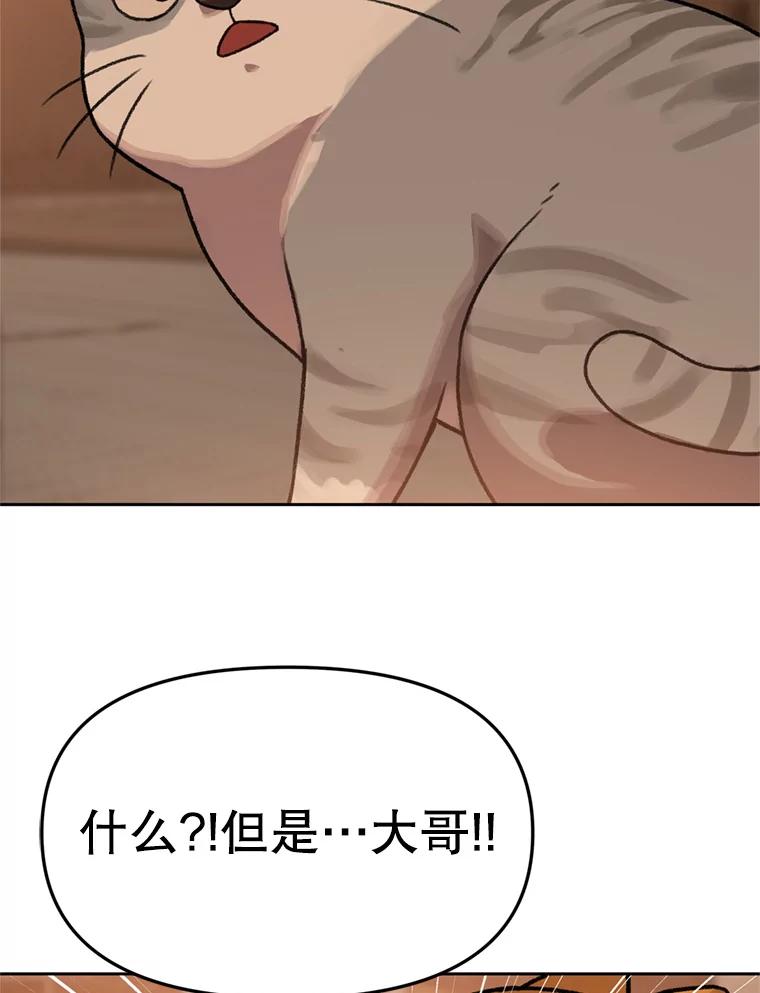 《彩虹桥守望者》90.老大的牺牲 第15页