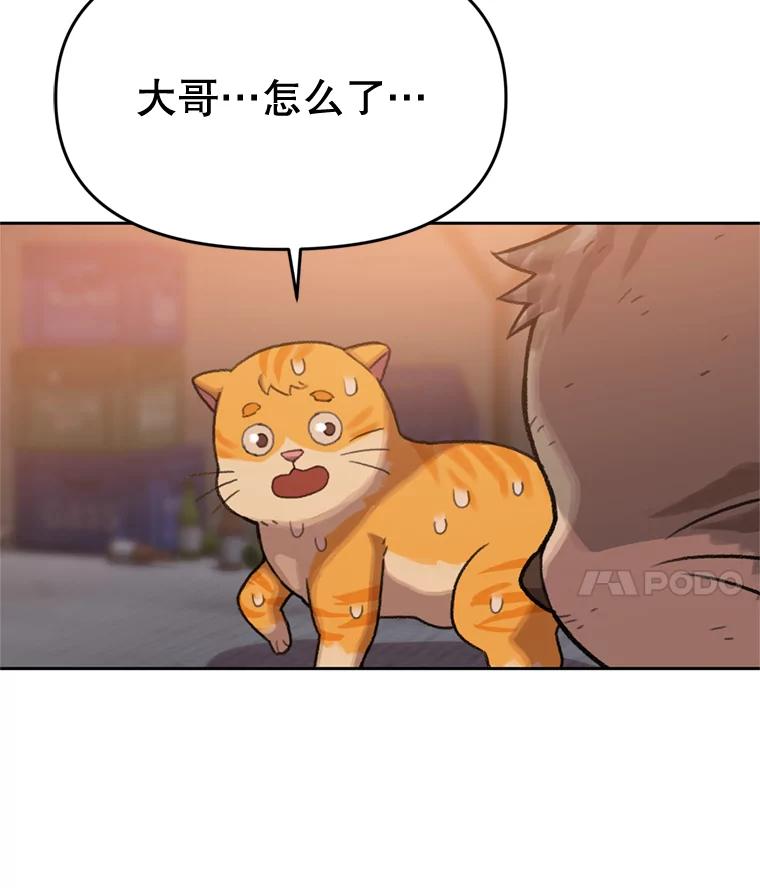 《彩虹桥守望者》90.老大的牺牲 第74页