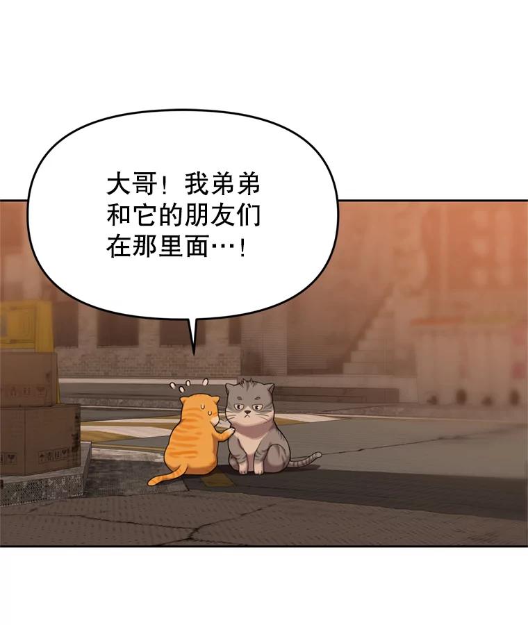 《彩虹桥守望者》90.老大的牺牲 第8页
