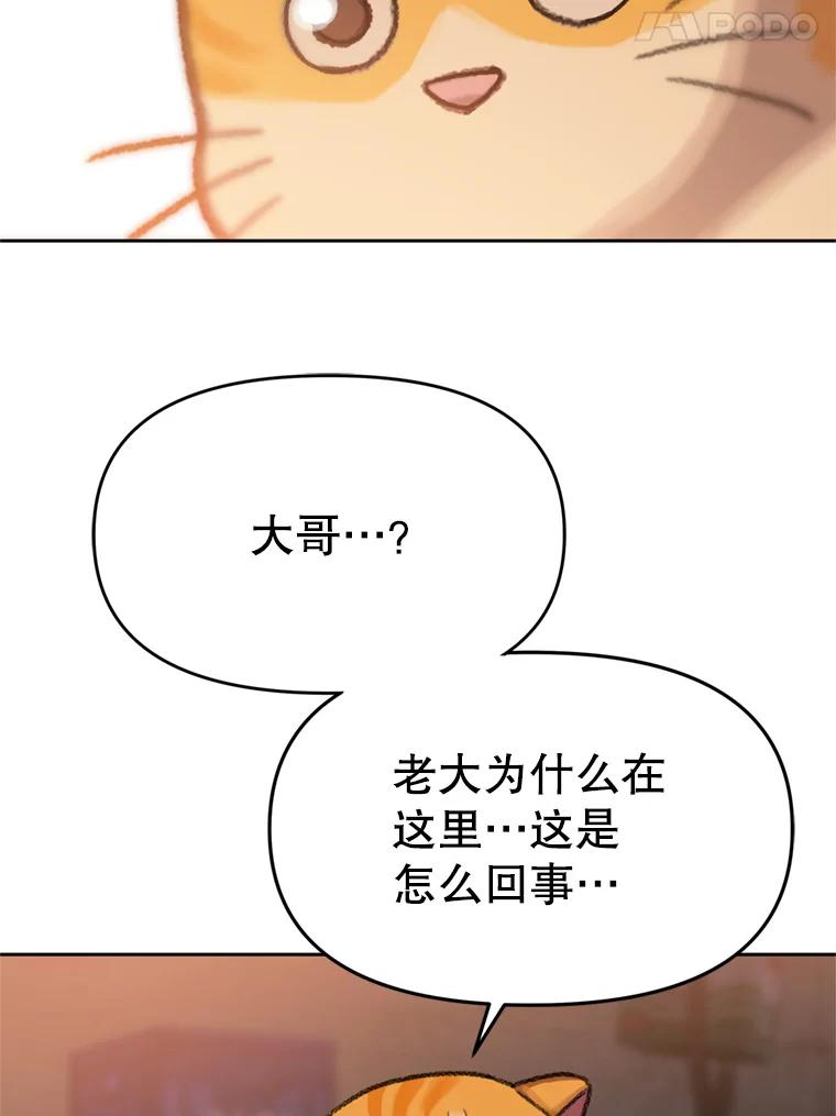 《彩虹桥守望者》90.老大的牺牲 第78页