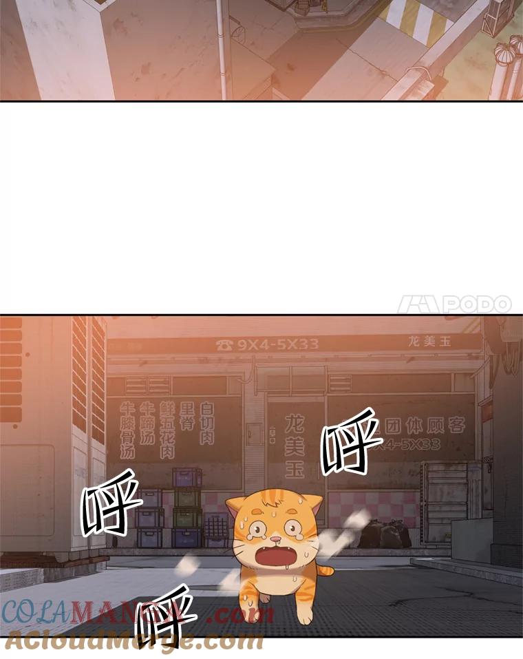 《彩虹桥守望者》90.老大的牺牲 第67页