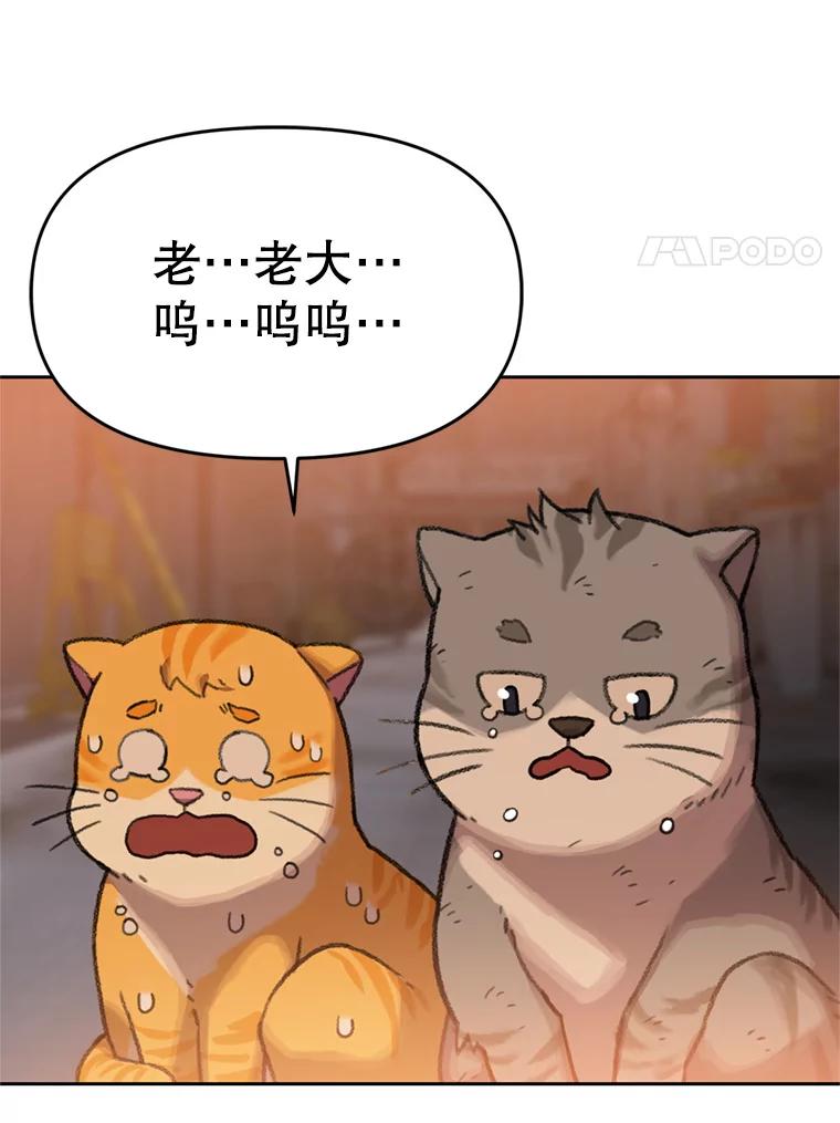 《彩虹桥守望者》90.老大的牺牲 第81页