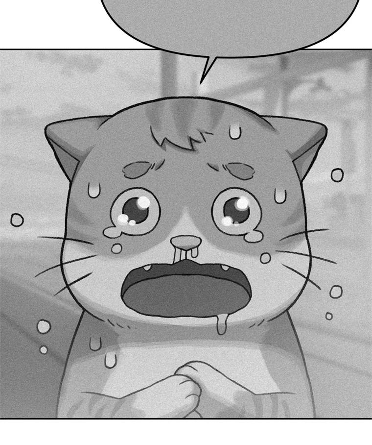《彩虹桥守望者》91.同一个人干的 第15页