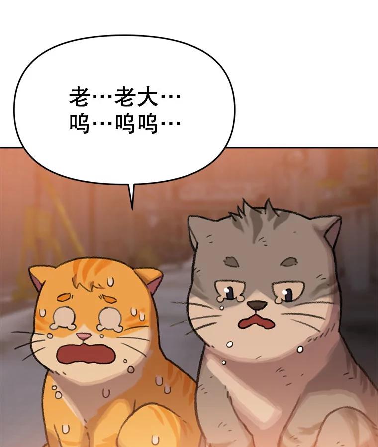 《彩虹桥守望者》91.同一个人干的 第3页
