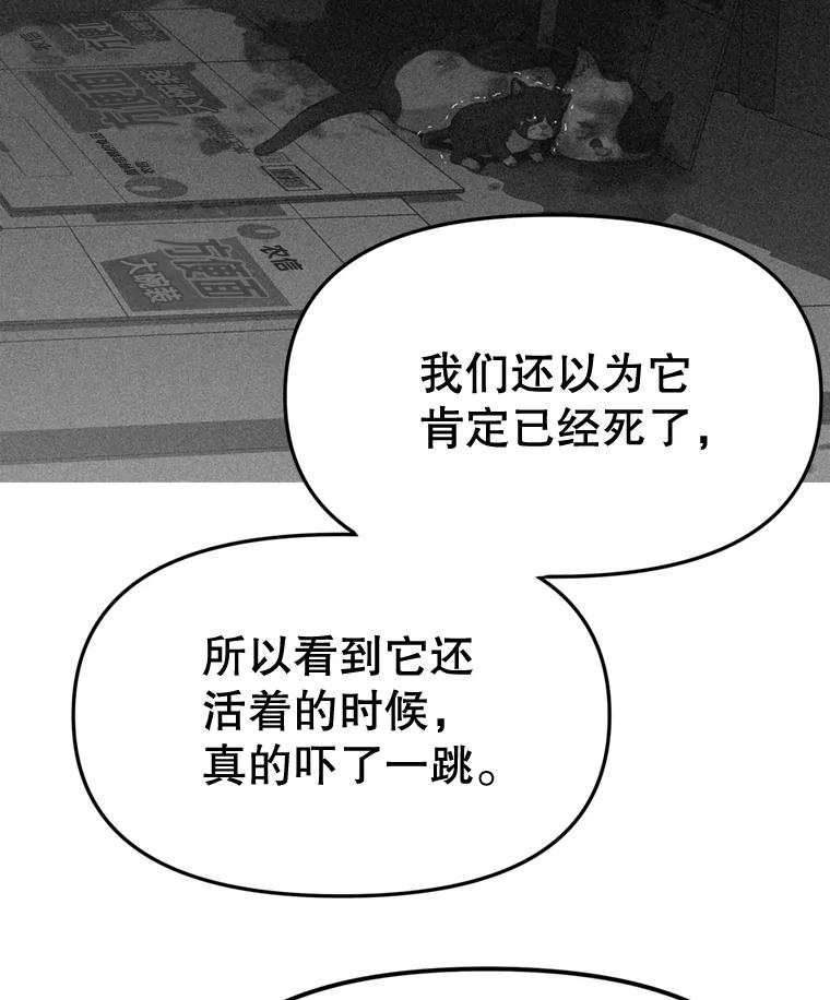 《彩虹桥守望者》91.同一个人干的 第74页