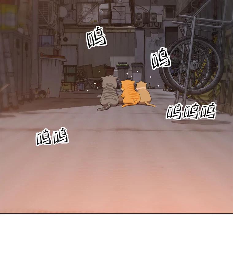 《彩虹桥守望者》91.同一个人干的 第5页