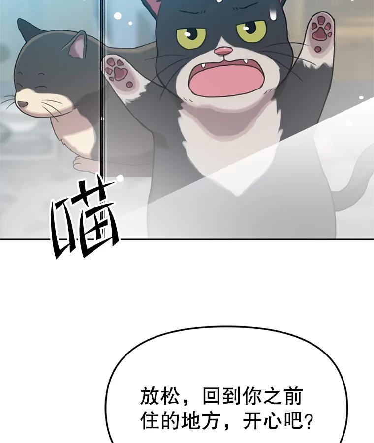 《彩虹桥守望者》92.露出真面目 第51页