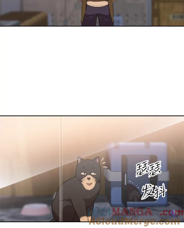 《彩虹桥守望者》92.露出真面目 第79页