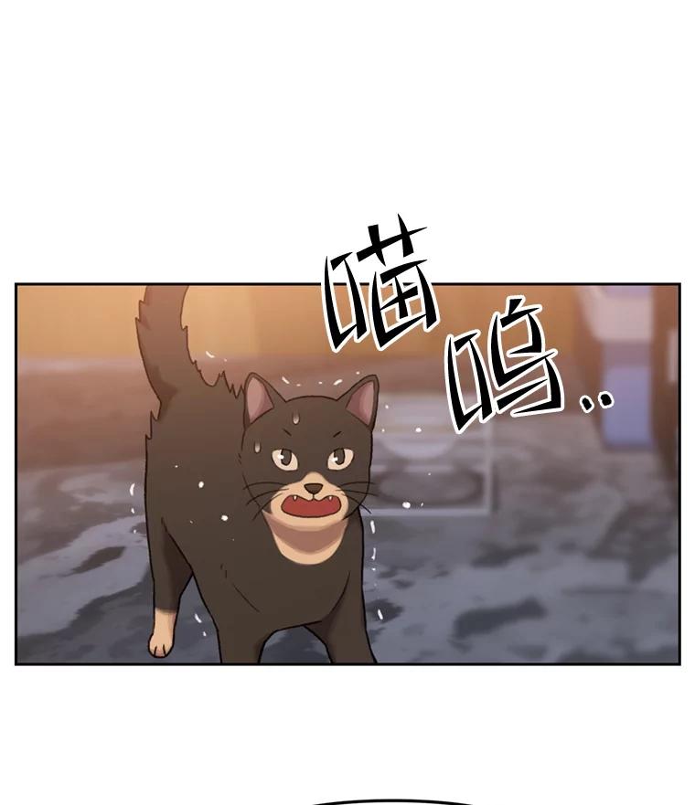 《彩虹桥守望者》93.一起帮忙 第8页