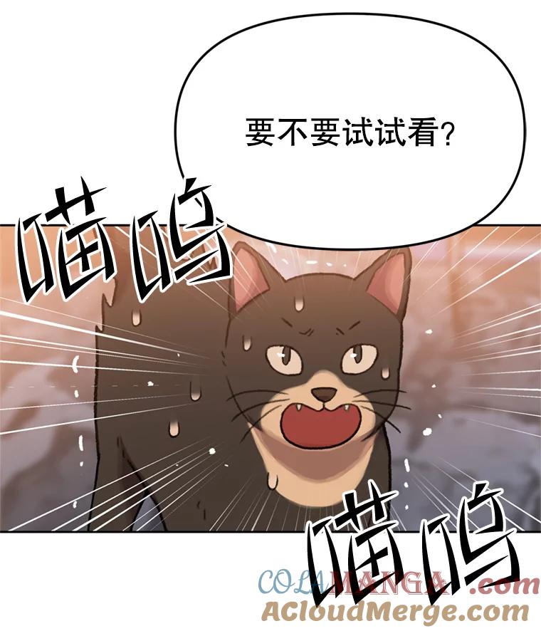 《彩虹桥守望者》93.一起帮忙 第13页