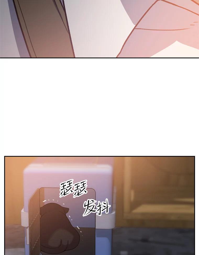 《彩虹桥守望者》93.一起帮忙 第5页