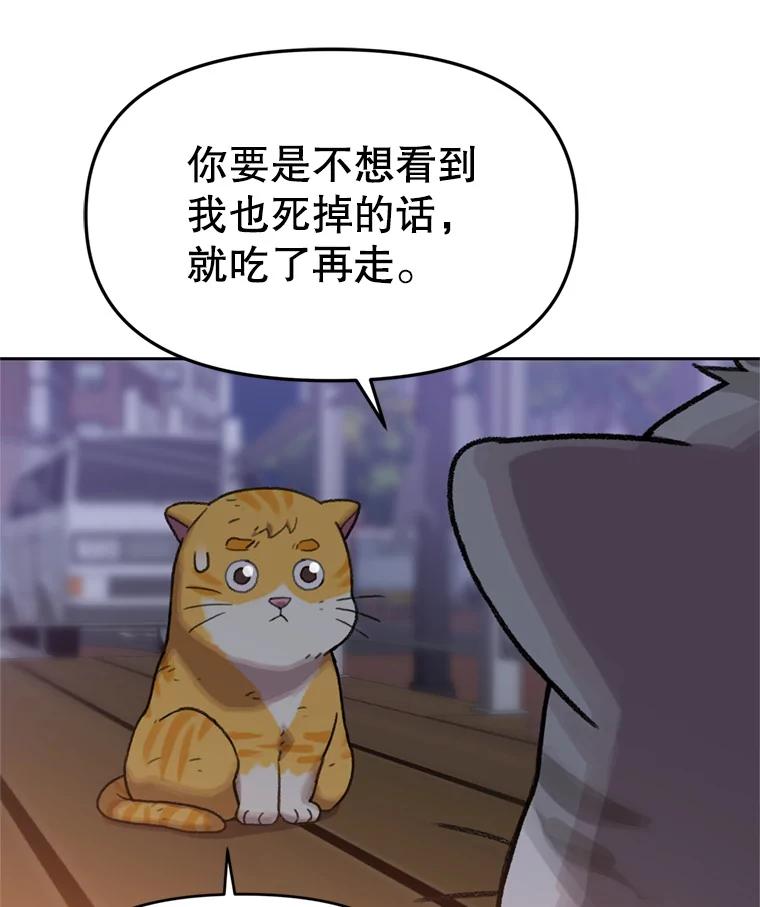 《彩虹桥守望者》94.李宏泽的秘密 第78页