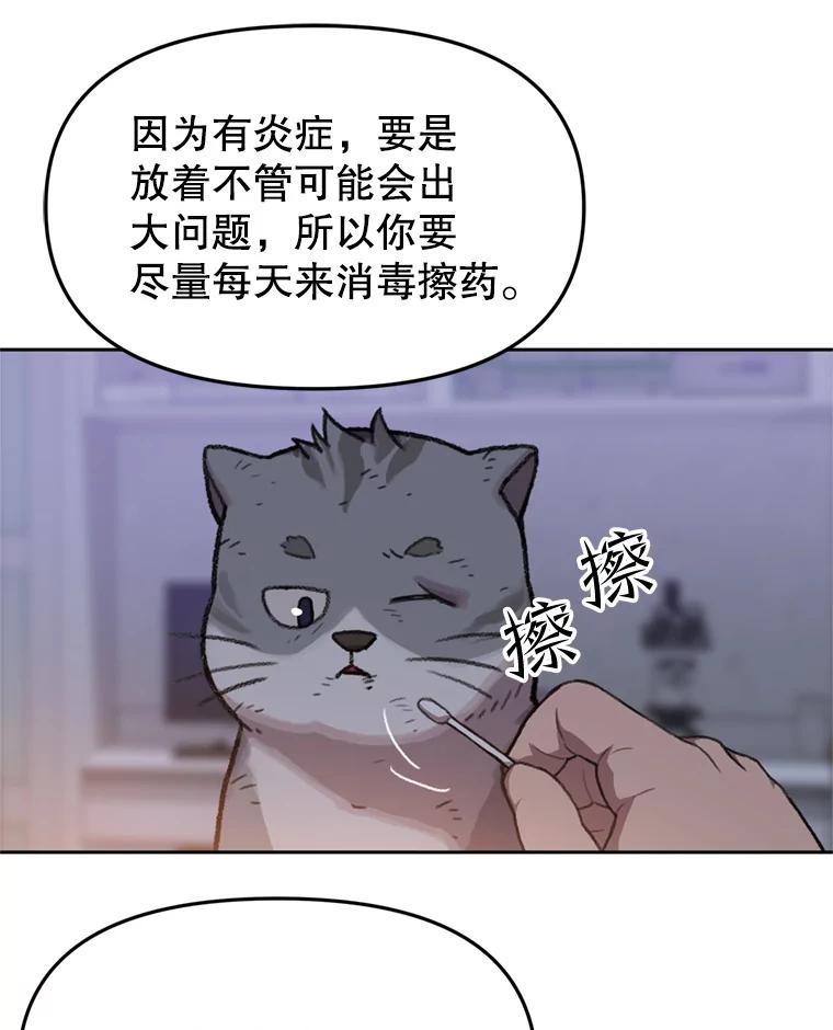《彩虹桥守望者》94.李宏泽的秘密 第51页
