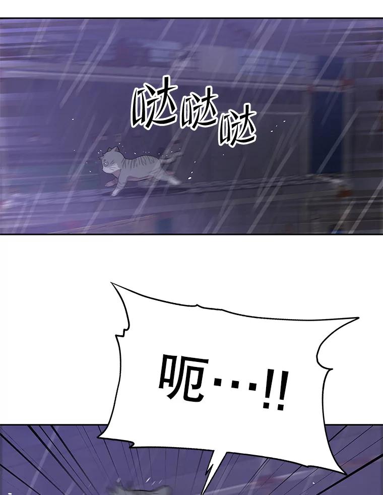 《彩虹桥守望者》97.缉拿归案 第51页