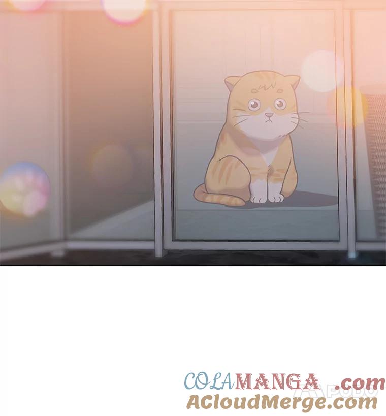 《彩虹桥守望者》98.同伙 第4页