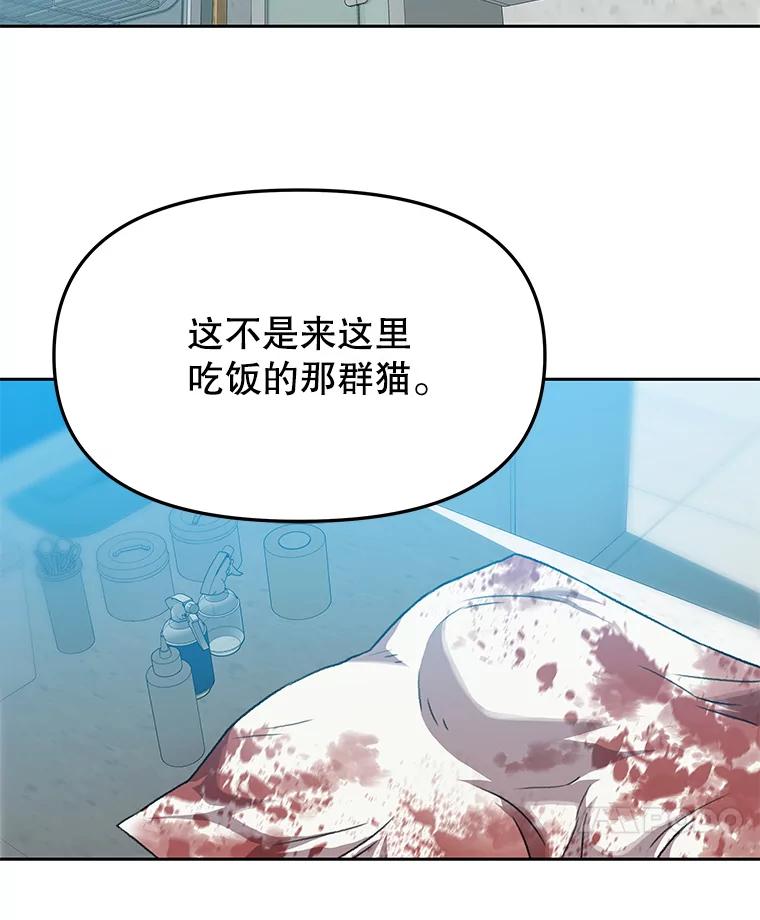 《彩虹桥守望者》98.同伙 第39页