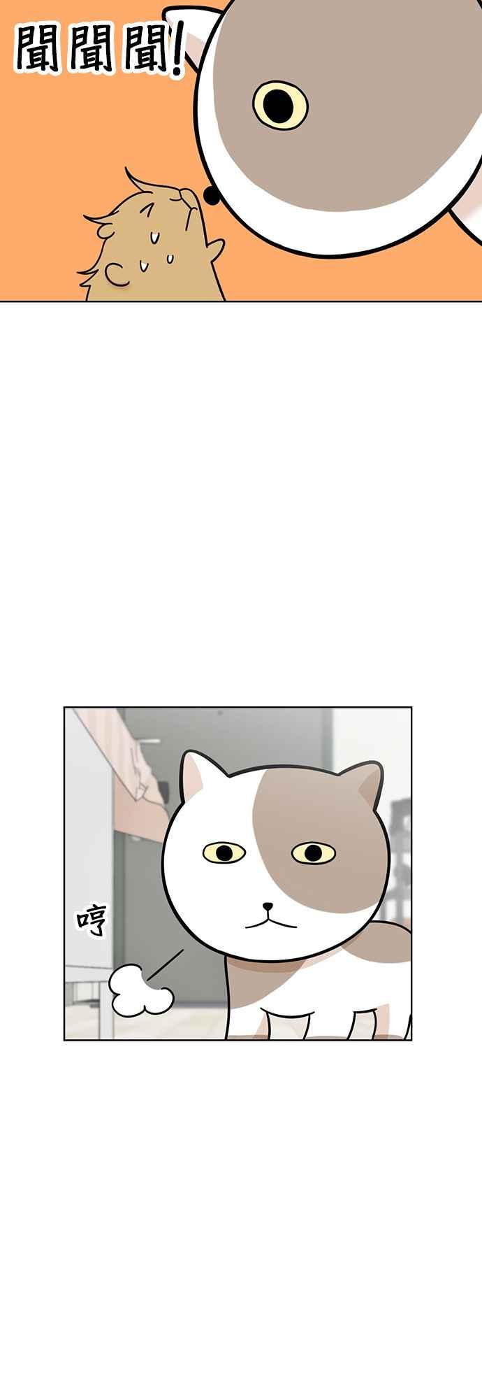 我家妹妹是狗狗 第77话 带我回家 第5页