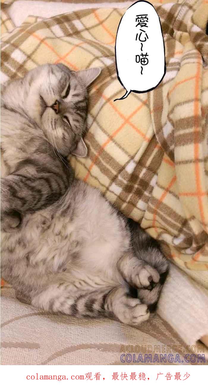 猫剑客 [第106话] 折翼天使 肆拾玖，冲一发23岁的懊恼 第41页