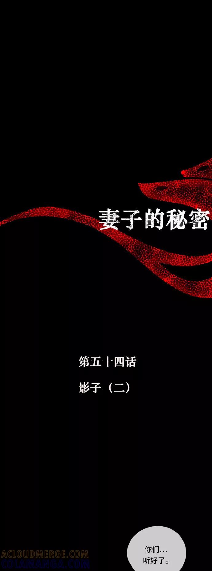 《妻子的秘密》[第54话] 影子（二） 第9页