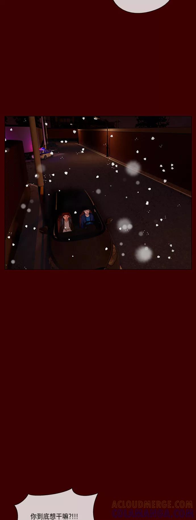 《妻子的秘密》[第55话] 影子（三） 第31页