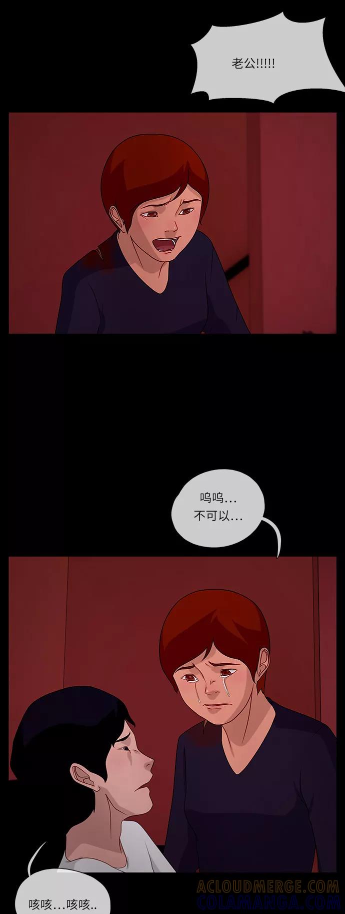《妻子的秘密》[第56话] 另一个影子 第29页