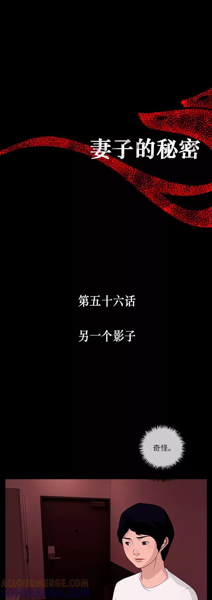 《妻子的秘密》[第56话] 另一个影子 第5页