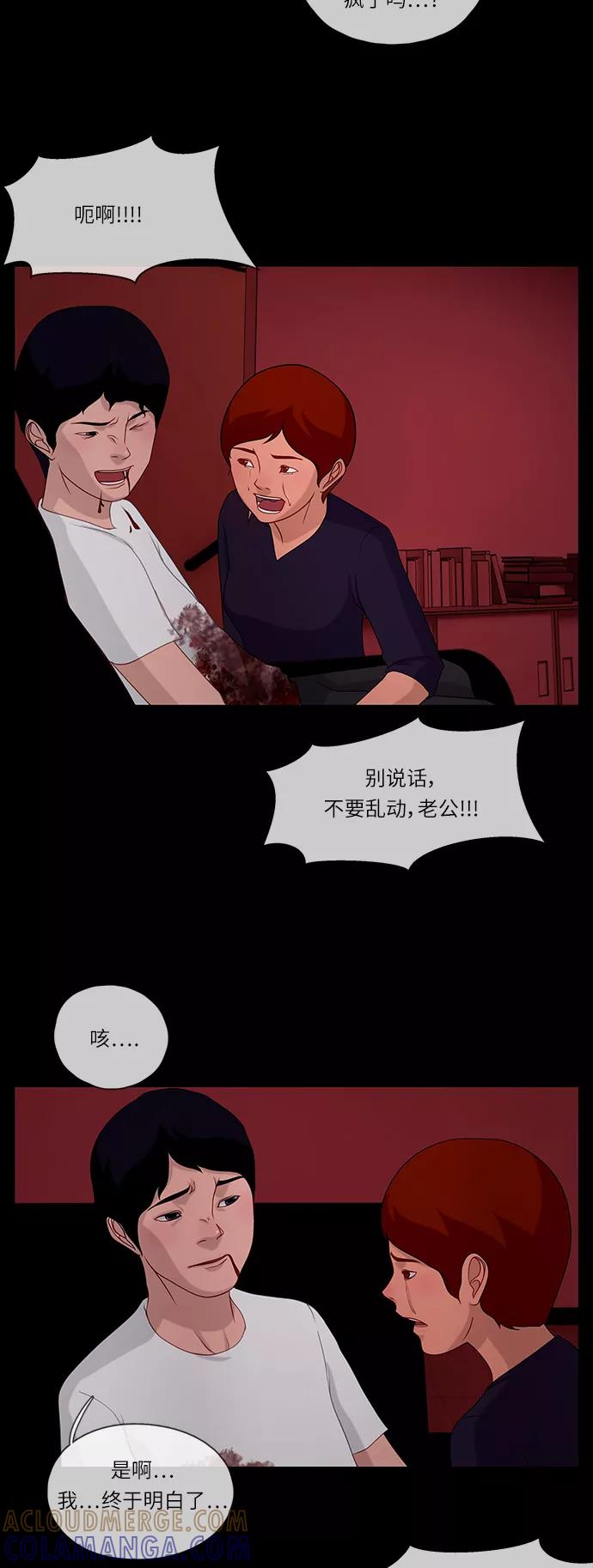 《妻子的秘密》[第56话] 另一个影子 第31页