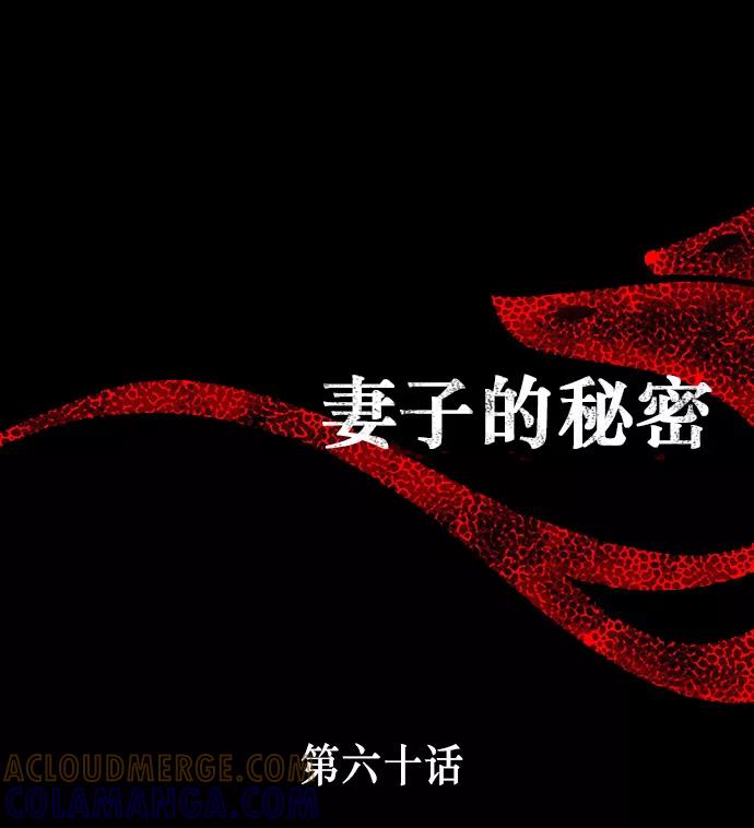 《妻子的秘密》[第60话] 最后的故事 第19页